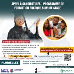 appel candidature formationpdf.pdf ii plan de travail 1